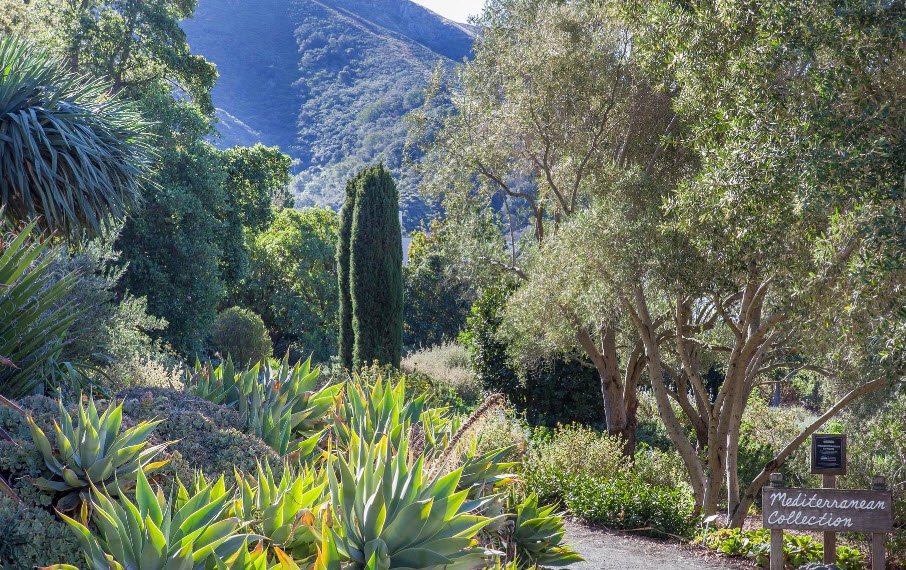 Leaning Pine Arboretum, United States